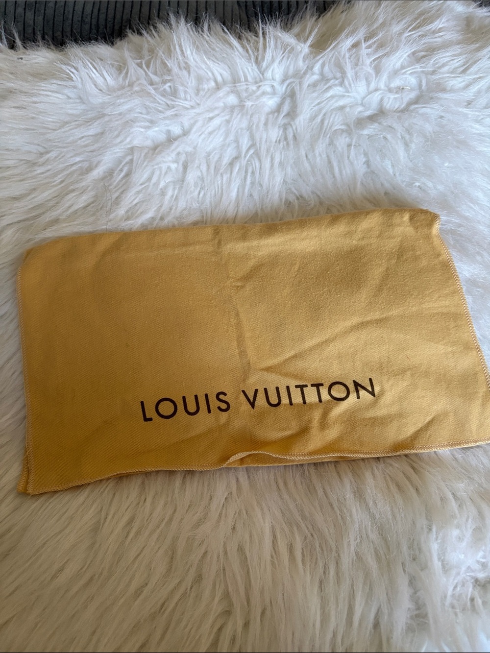 Louis Vuitton Mustard Yellow Branded Dust Pouch
